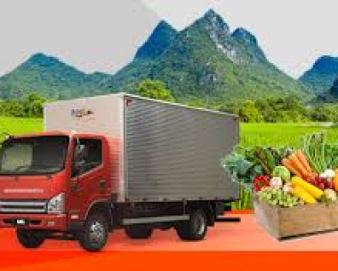DỊCH VỤ ĐÓNG GÓI-VẬN CHUYỂN NÔNG SẢN