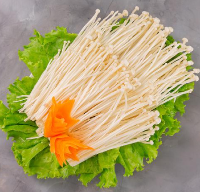 Nấm Kim Châm 