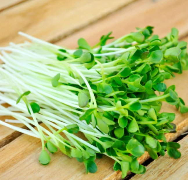 Rau Mầm
